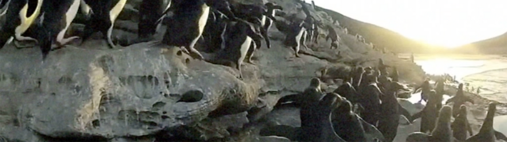 Toys That Kill - Bullet From The Sky