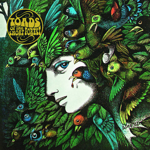 Toads Of The Short Forest - Mindmower (LP)